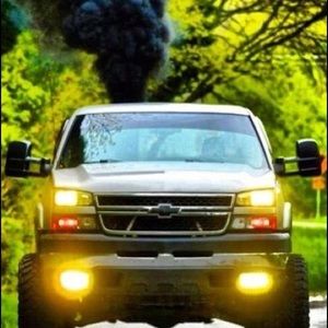 Meet your Posher, Kayden